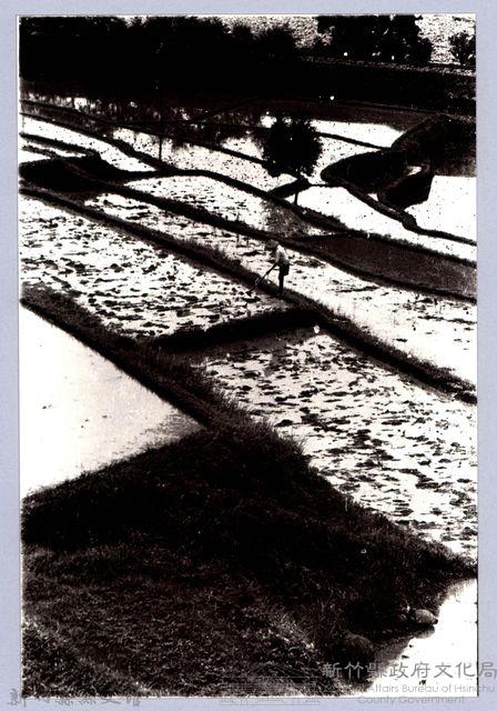 改田唇（1969，橫山）藏品圖，第1張