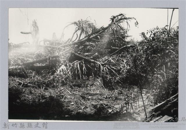 林保仁縣長主政照片：新竹縣芎林堤防防汛搶救演習-22藏品圖，第1張