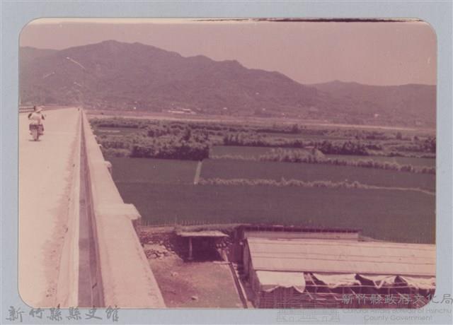 林保仁縣長主政照片：頭前溪剷除高莖作物-14藏品圖，第1張