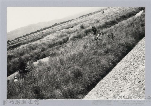 林保仁縣長主政照片：新竹縣芎林堤防防汛搶救演習-32藏品圖，第1張