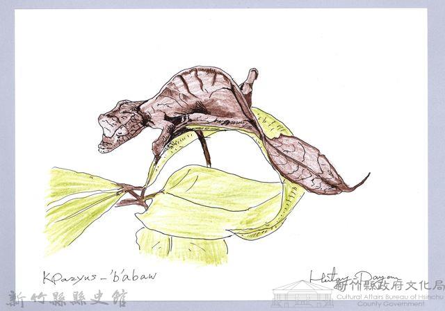 泰雅文物畫冊1-150幽靈竹節蟲藏品圖，第1張