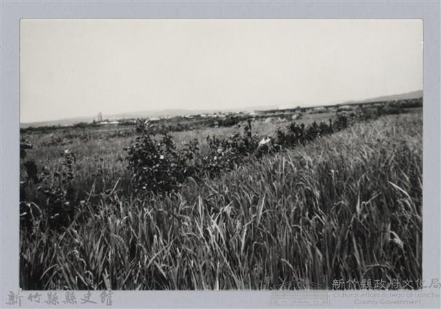 林保仁縣長主政照片：新竹縣芎林堤防防汛搶救演習-42藏品圖，第1張