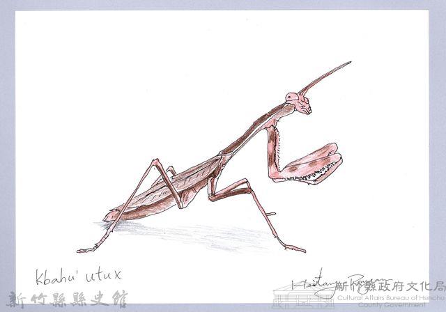 泰雅文物畫冊1-186枯葉大刀螳藏品圖，第1張