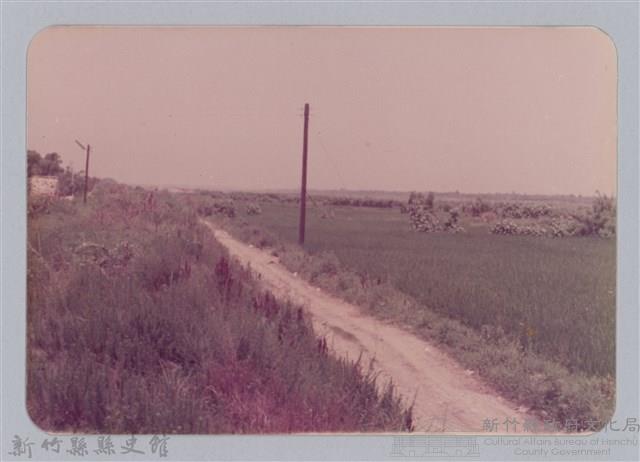 林保仁縣長主政照片：頭前溪剷除高莖作物-24藏品圖，第1張