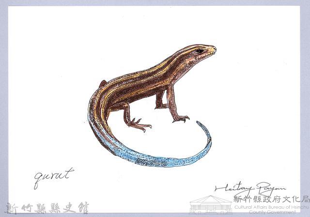 泰雅文物畫冊1-149麗雯石龍子藏品圖，第1張