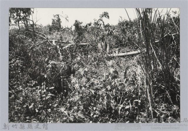 林保仁縣長主政照片：新竹縣芎林堤防防汛搶救演習-17藏品圖，第1張