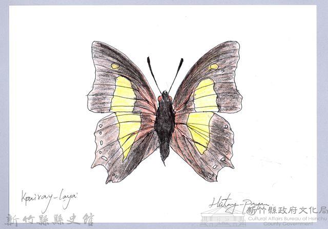 泰雅文物畫冊2-42菜粉蝶藏品圖，第1張