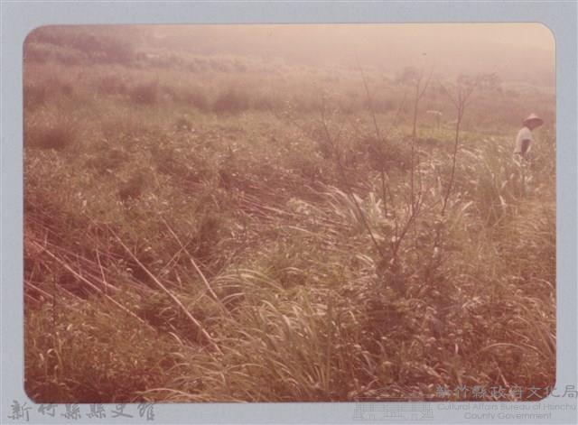 林保仁縣長主政照片：新竹縣新埔鎮六十七年度防汛演習-63藏品圖，第1張