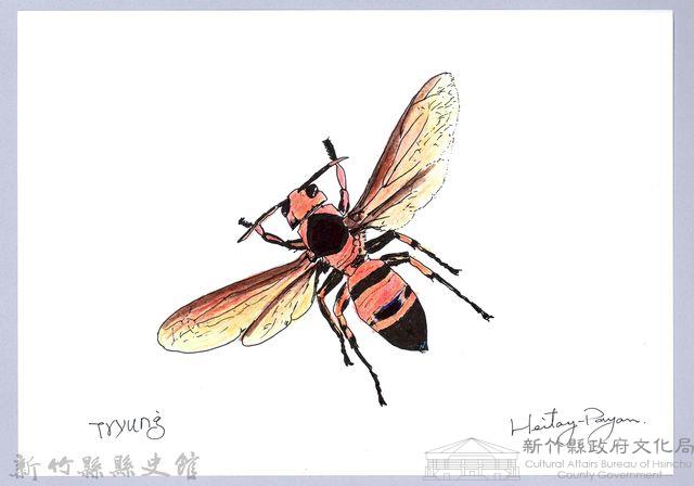 泰雅文物畫冊1-106黑尾虎頭蜂-1藏品圖，第1張