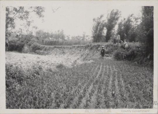 登錄號:2008.001.1060藏品圖，第1張