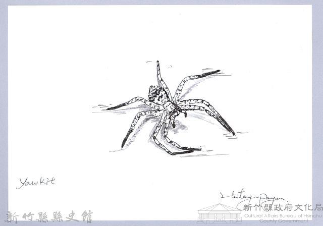 泰雅文物畫冊3-15沙地豹蛛藏品圖，第1張