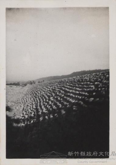 登錄號:2008.001.1074藏品圖，第1張