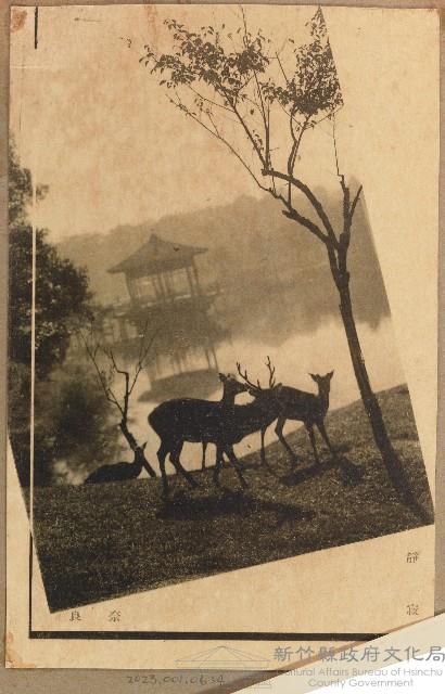劉興熙日本遊學參訪奈良公園照片藏品圖，第1張