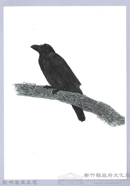 泰雅文物畫冊1-192家烏鴉藏品圖，第1張
