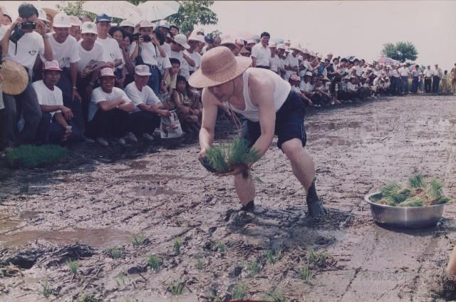 登錄號:2008.001.2314藏品圖，第1張