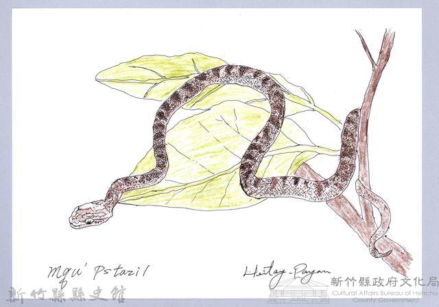 泰雅文物畫冊1-132大頭蛇藏品圖，第1張