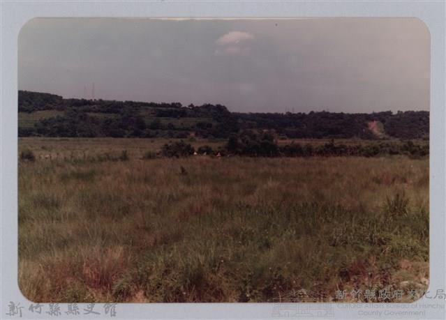 林保仁縣長主政照片：頭前溪剷除高莖作物-3藏品圖，第1張