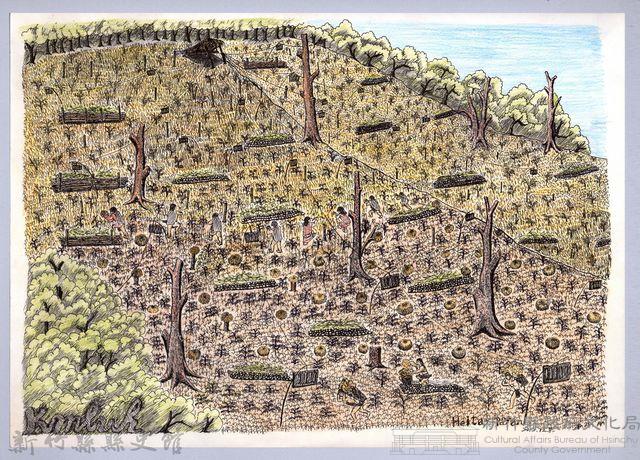 黑帶巴彥畫冊-27穀類生產之收割及揹運藏品圖，第1張