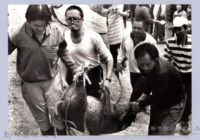 殺豬（2004，五峰）藏品圖，第1張