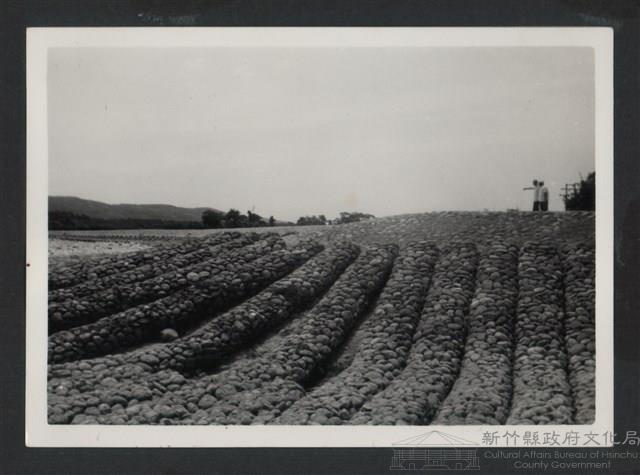 鳳山溪六股堤防復原工程(堤防復原300M)-施工後藏品圖，第1張