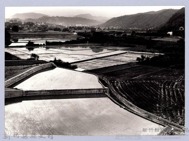 關西水田風光（2004，關西）藏品圖，第1張