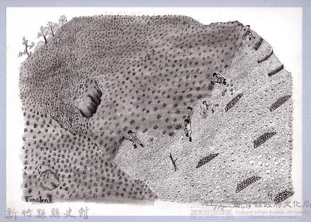 黑帶巴彥畫冊-7芒草林的開墾2：建造防火線藏品圖，第1張