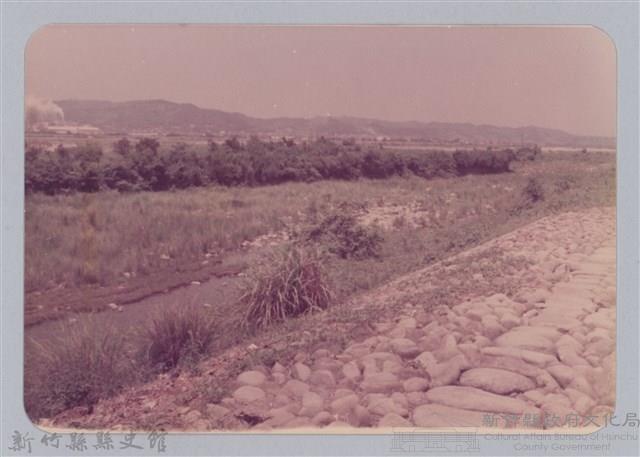 林保仁縣長主政照片：頭前溪剷除高莖作物-23藏品圖，第1張