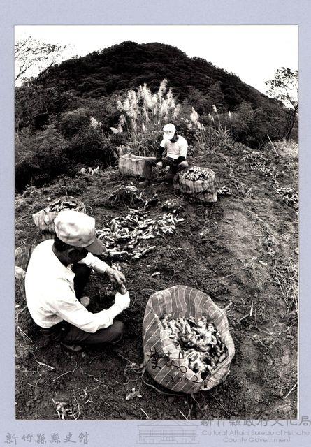 種薑人家（2002，北埔）藏品圖，第1張