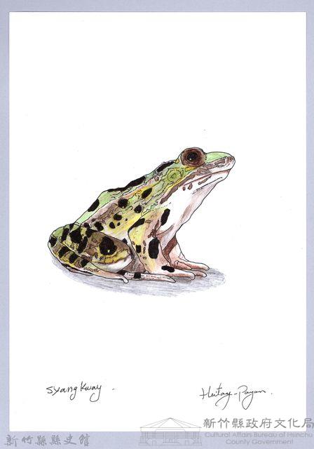 泰雅文物畫冊1-142斯文豪氏赤蛙藏品圖，第1張