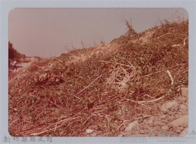 林保仁縣長主政照片：新竹縣芎林堤防防汛搶救演習-51藏品圖，第1張