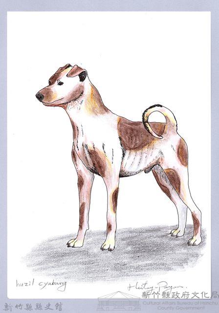 泰雅文物畫冊1-78花犬藏品圖，第1張