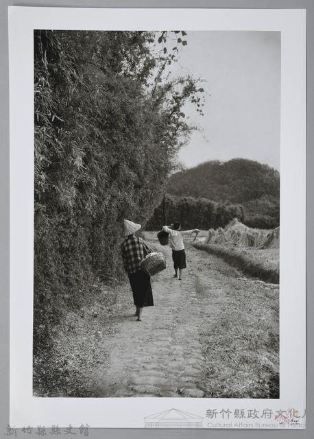新竹鄉下─歸途（1950年）藏品圖，第1張