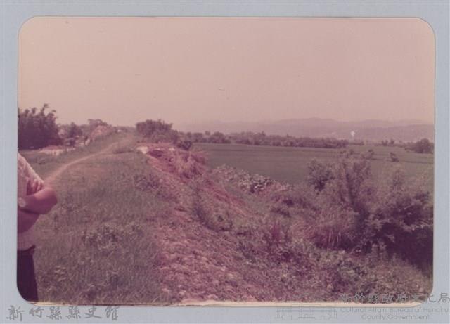 林保仁縣長主政照片：頭前溪剷除高莖作物-15藏品圖，第1張