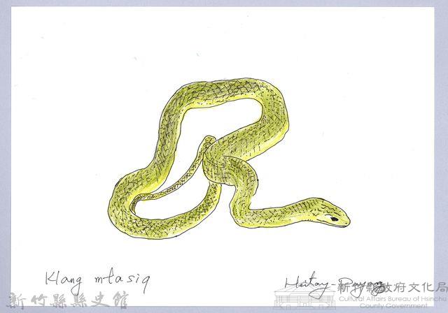 泰雅文物畫冊1-134青蛇藏品圖，第1張