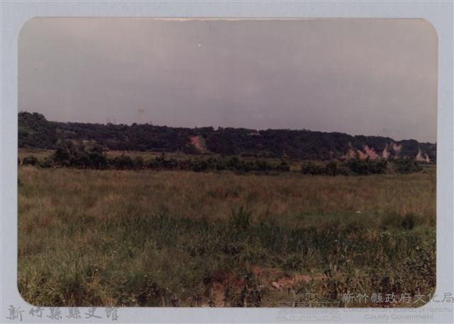 林保仁縣長主政照片：頭前溪剷除高莖作物-5藏品圖，第1張