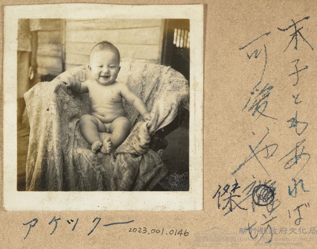 劉邦傑自宅嬰兒照藏品圖，第1張