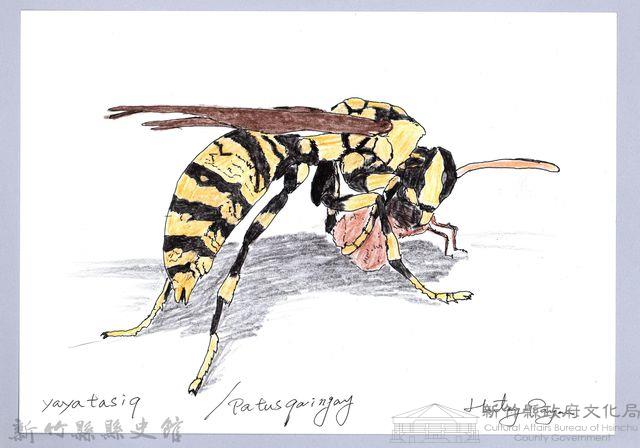 泰雅文物畫冊1-112黃長腳蜂藏品圖，第1張