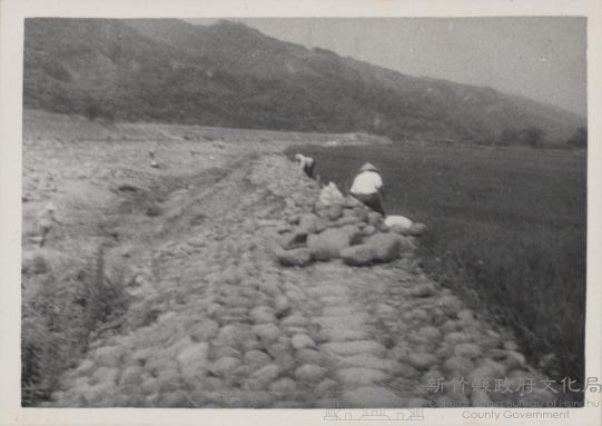 登錄號:2008.001.1146藏品圖，第1張