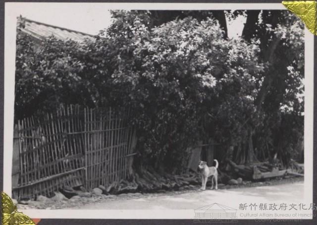 登錄號:2008.001.0656藏品圖，第1張