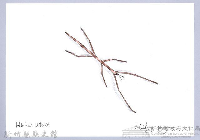 泰雅文物畫冊1-187雙色皮竹節蟲藏品圖，第1張