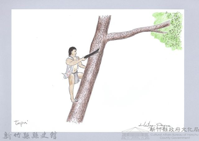 狩獵用具漁用-8上樹藏品圖，第1張