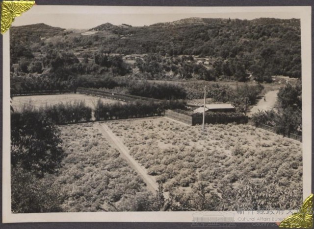 登錄號:2008.001.0666藏品圖，第1張