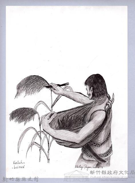 黑帶巴彥畫冊-22穀類收割1：採收小米藏品圖，第1張