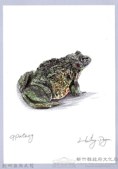 泰雅文物畫冊1-137盤古蟾蜍藏品圖，第1張