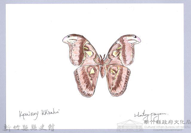 泰雅文物畫冊2-31琉璃蛺蝶藏品圖，第1張