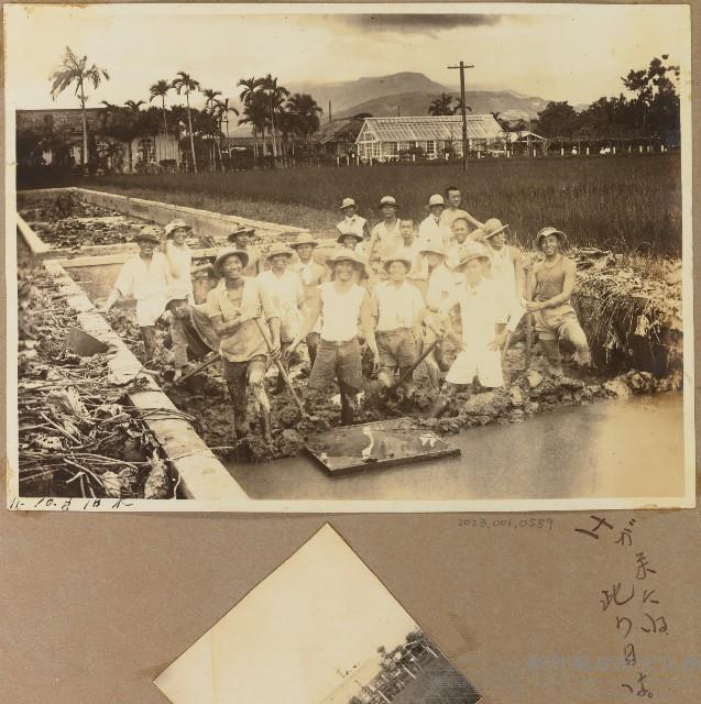 劉興熙宜蘭農林同學農作照片藏品圖，第1張