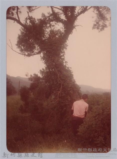 林保仁縣長主政照片：新竹縣新埔鎮六十七年度防汛演習-32藏品圖，第1張