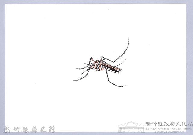 泰雅文物畫冊3-24家蚊藏品圖，第1張