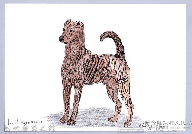 泰雅文物畫冊1-73黑褐犬藏品圖，第1張