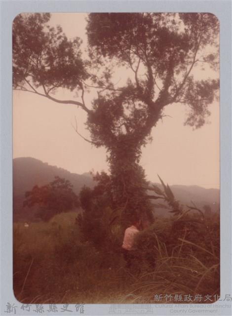 林保仁縣長主政照片：新竹縣新埔鎮六十七年度防汛演習-34藏品圖，第1張